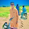 rao.hamid02