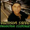 valdsonsilva887