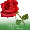 beatrizestrelasou