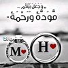 mohamed.mohamed60203