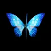 savage_butterfly