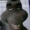 justenkkkj