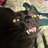 edsi__