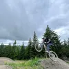 ste.g.mtb