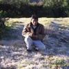 ricardowilderpalm
