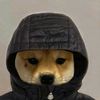 cant_hurtme