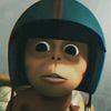 imbit_30