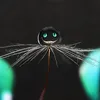 userzaqycfzvxp