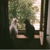 itsquynhnhu_