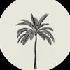 v_xll8