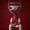nut_gunner