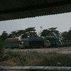 bngdik_199