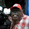 ajthetrucker_