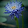 aquarius_000321