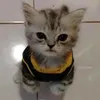 emre_tme58