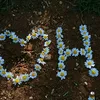 gulla_baybunn11