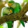 thanhtuan86868686