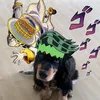seila.com010
