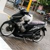 haudi_tmvn