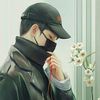 pook_526