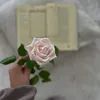 shamwww.fyhbnk24.con