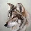 tima_tatarin_