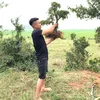 nui_phuong