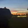 poppy_xddon