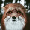 vibezhadow
