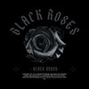 black_roses100