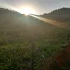 roberto.pinda