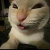 soykiki2905