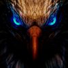 الصقر الحر🦅🔥