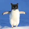 pampawel