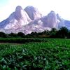 العامري.Al Amri