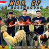 hanya.seoranghamba_