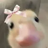 _shyshyshai