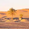 irlandali_cin