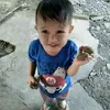 darmusdar