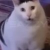leothegoat_2