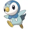 piplup91