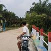 dikzz_135