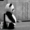 asdfghjklmnopqr321