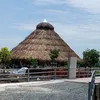 loihuynh5338