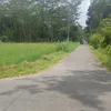 sp.jrwo