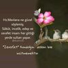 meleyim.canim