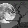 aml_at