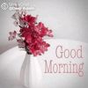 user2006634365508