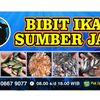 bibitikansumberjayafarm