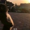 adikaasptraa_